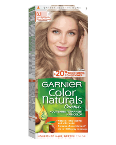 غارنييه صبغة شعر 8.1 أشقر رمادي فاتح